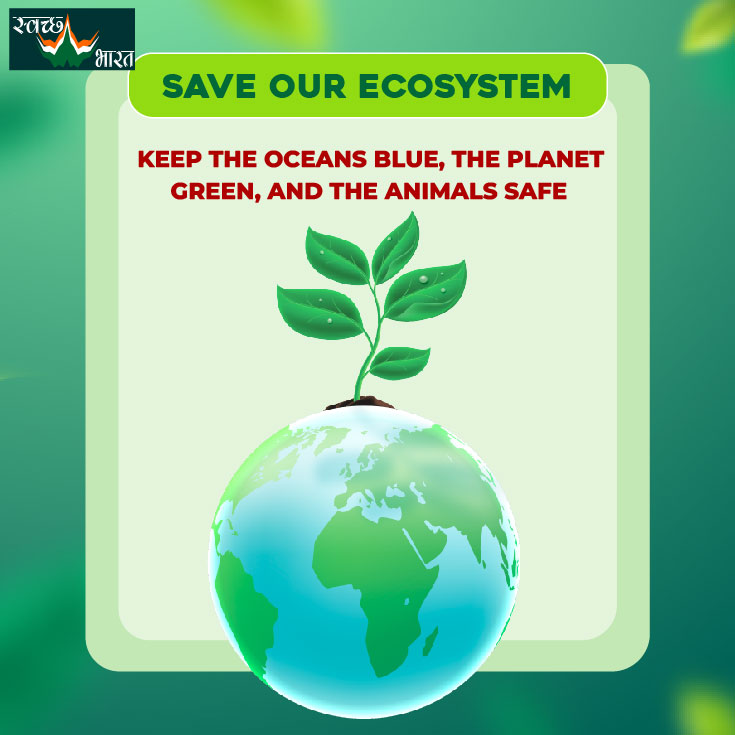 We recycle and we revive the ecosystem.